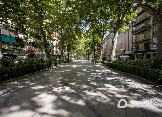 Edificios en venta en centro de Granada